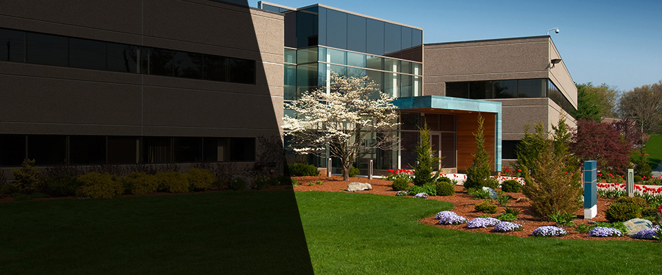 Hyde Park Landscapers